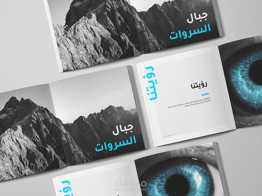 شعار وهوية شركة بروفيل