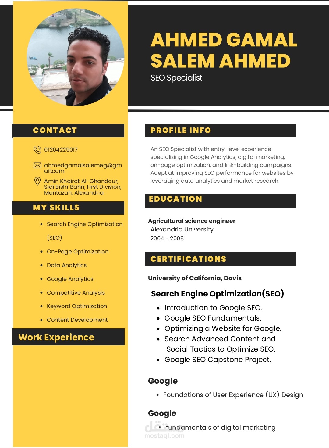 تصميم CV  احترافي