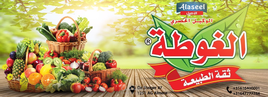 Banner | بنر