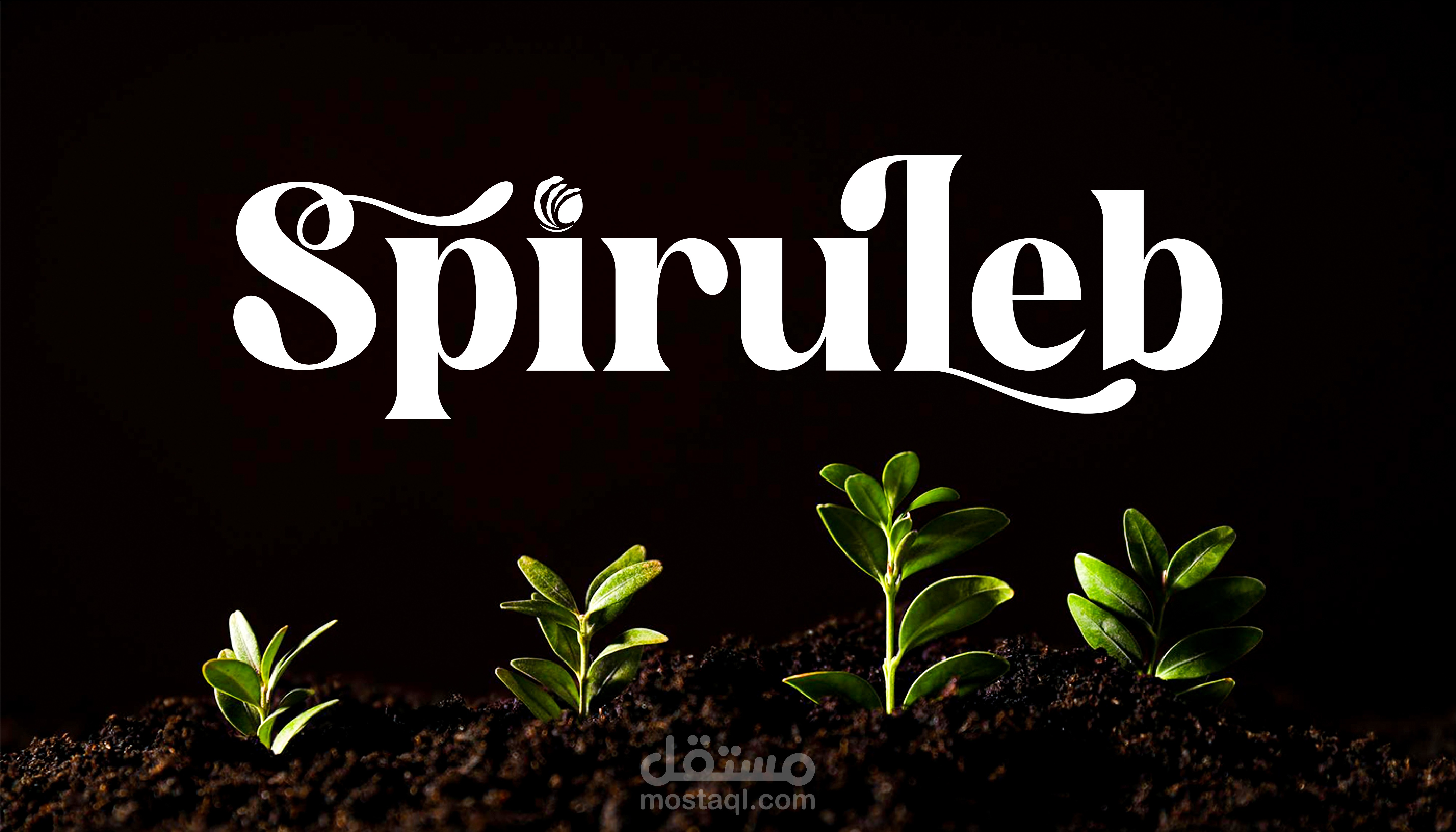 Logo Design | SpiruLeb