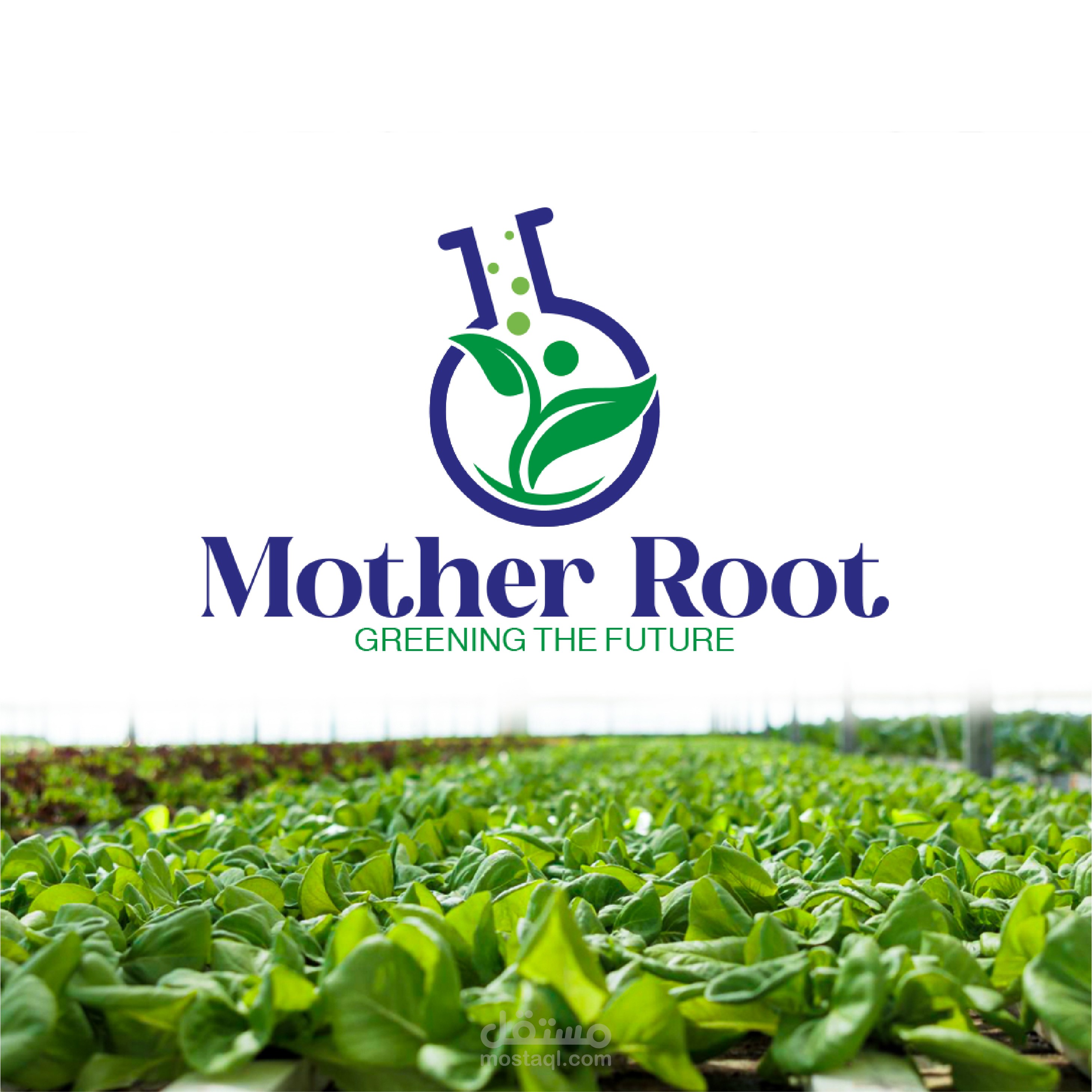 Logo Design | Mother Root