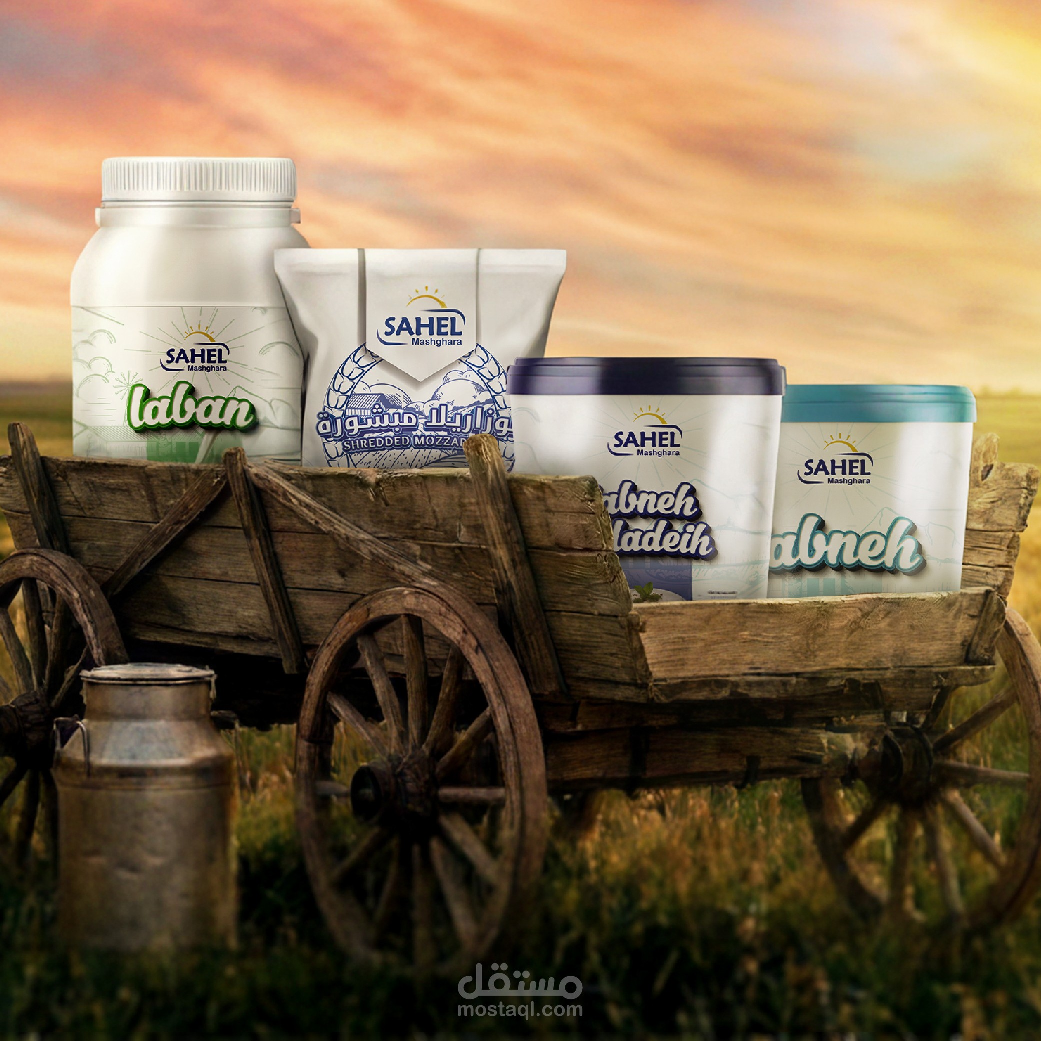 Dairy Product | Branding Design