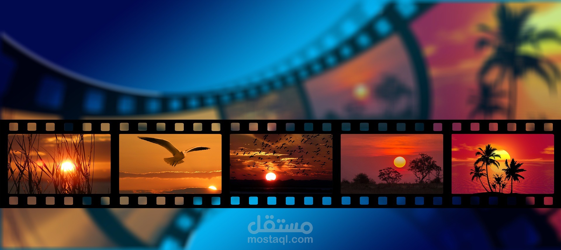 البرمجة والتاسيسات وادارة المشاريع