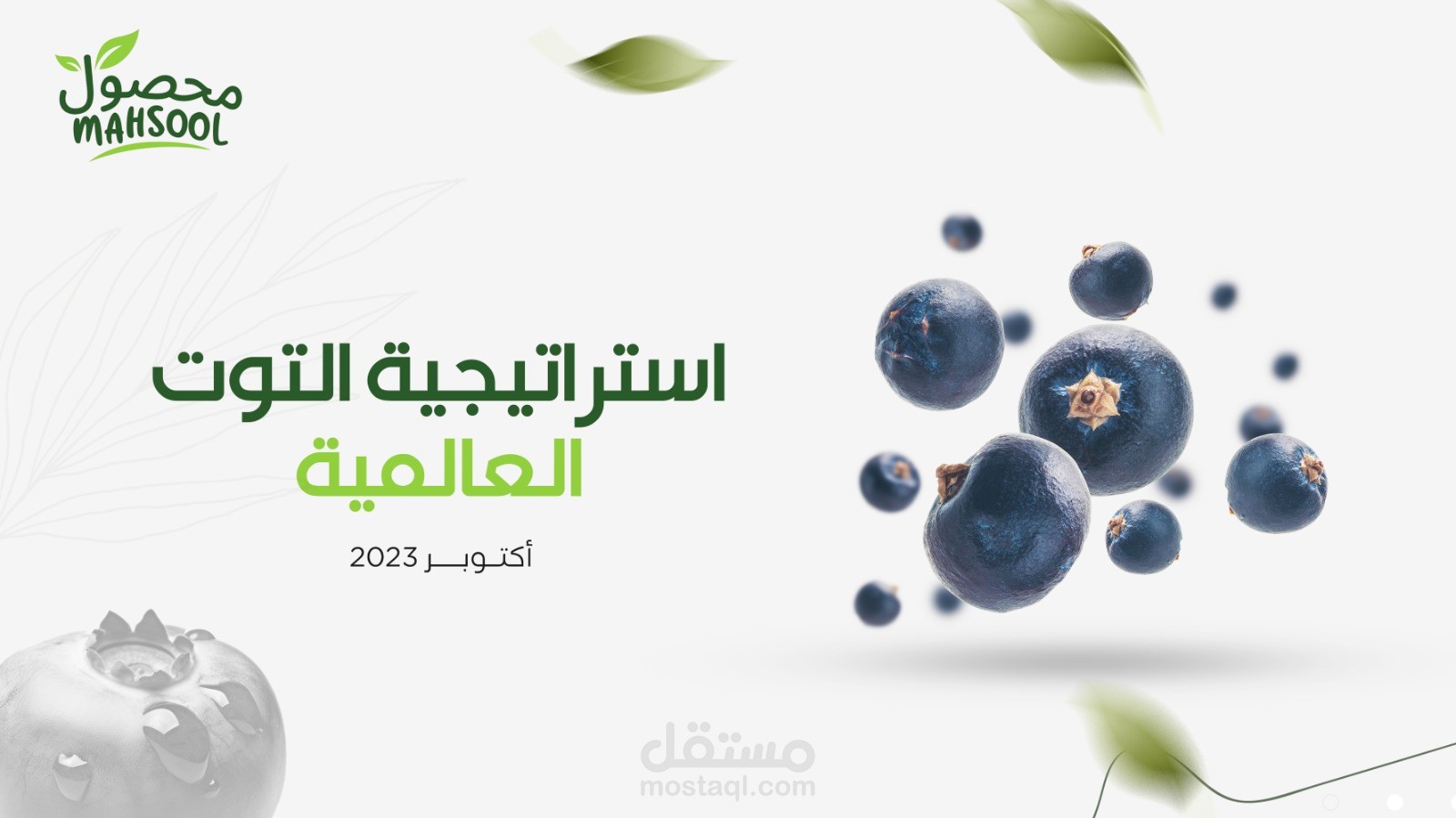 تصميم عرض باوربوينت