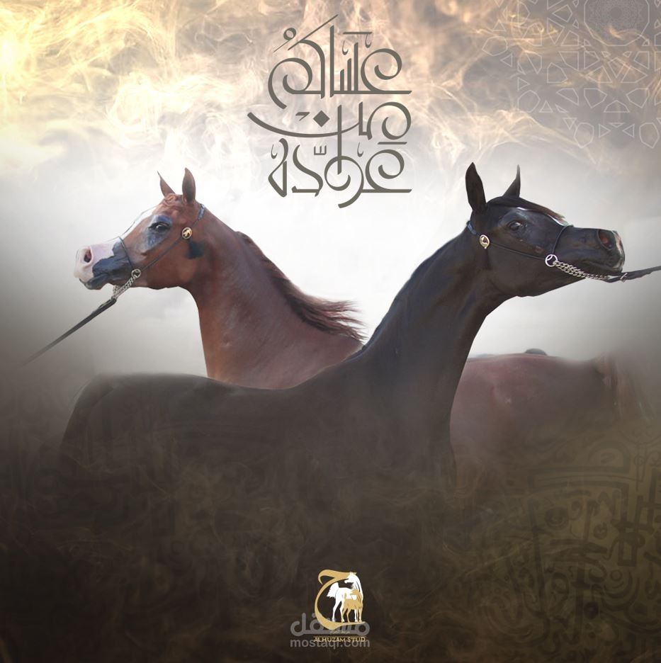 بوسترات جمال الخيل