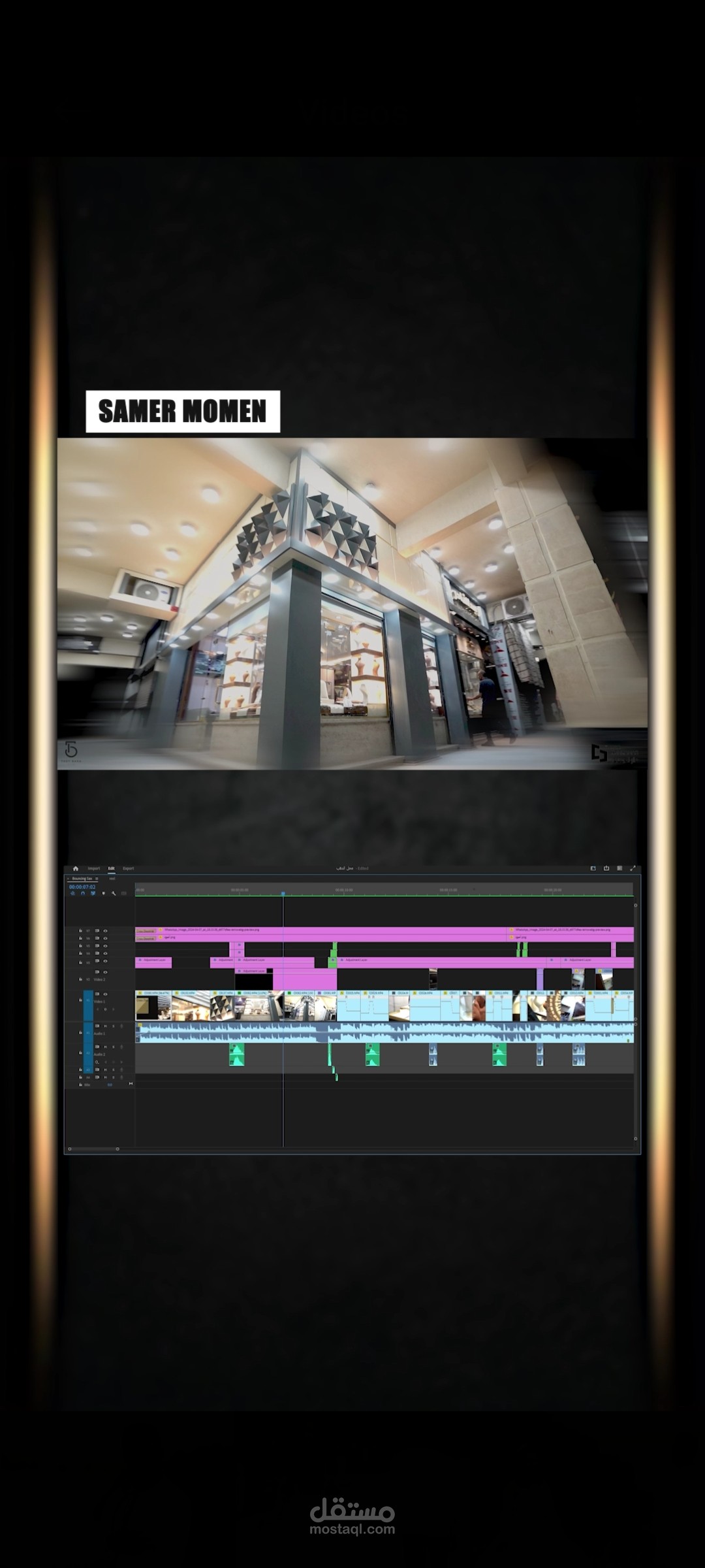 Promotional video