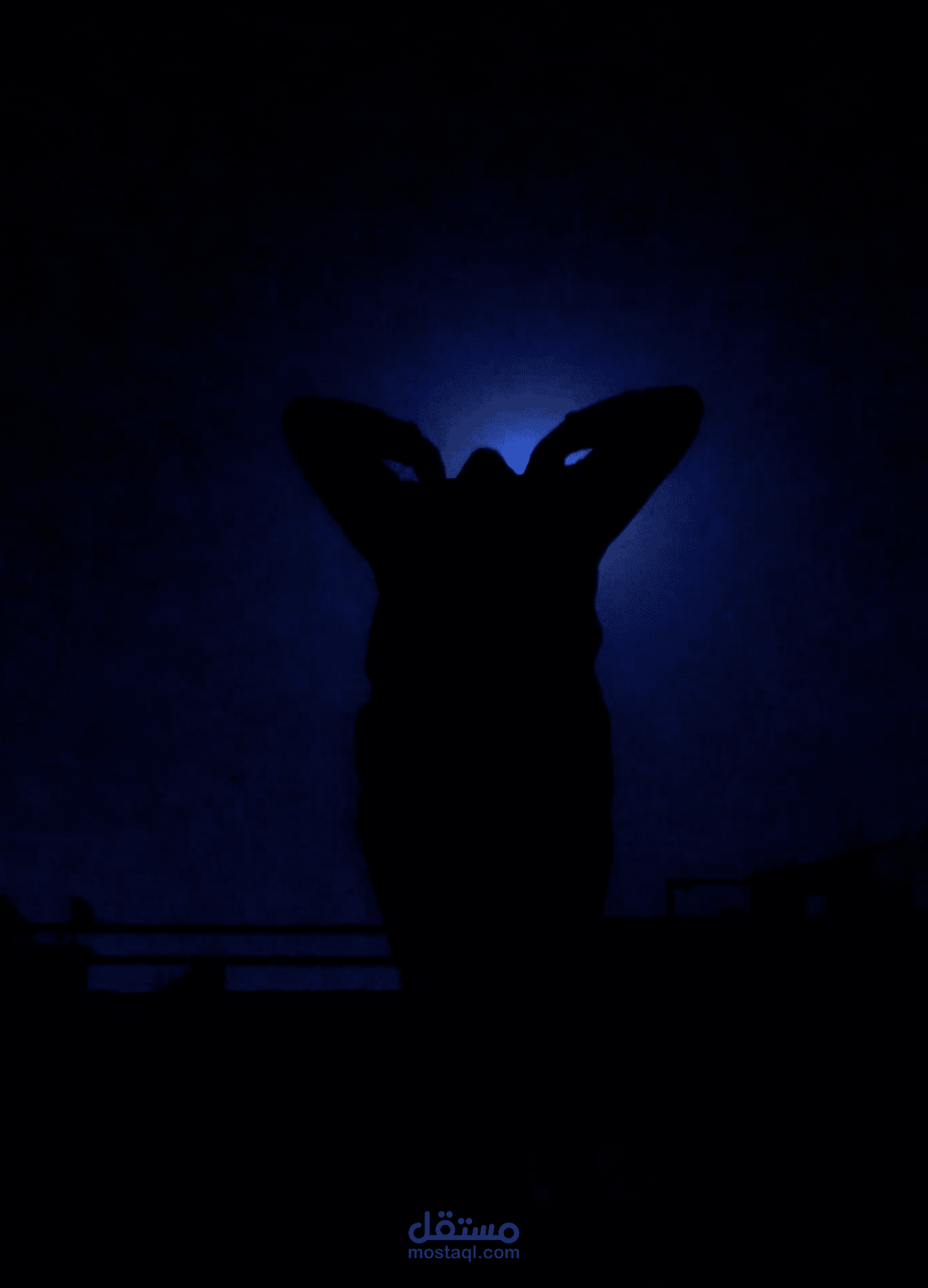 Fly Me to the Moon