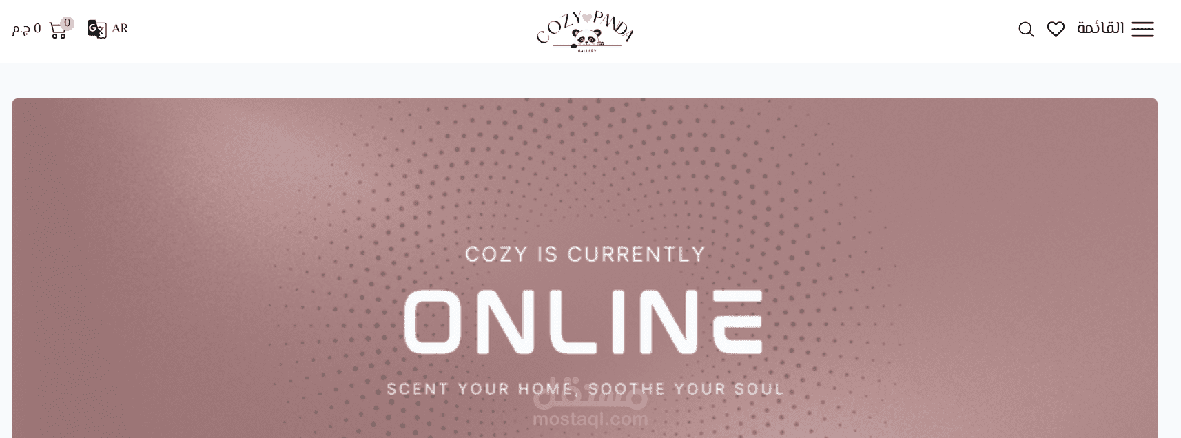 انشاء متجر و تطوير براند cozy panda
