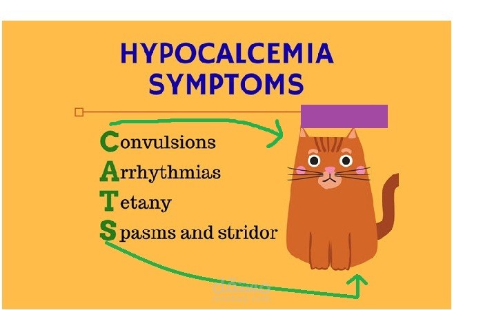 hypocalcemia