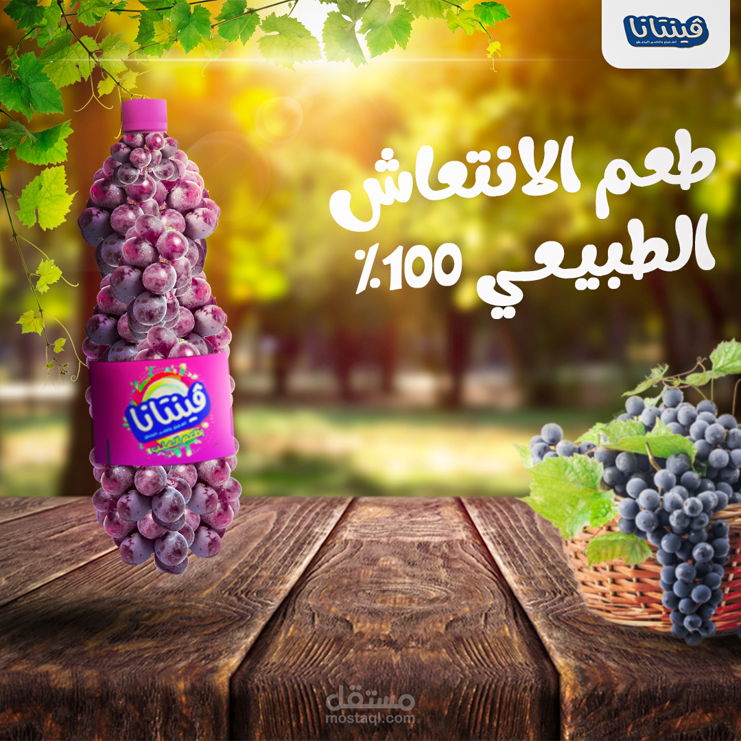 تصميم لشركة فينتانا