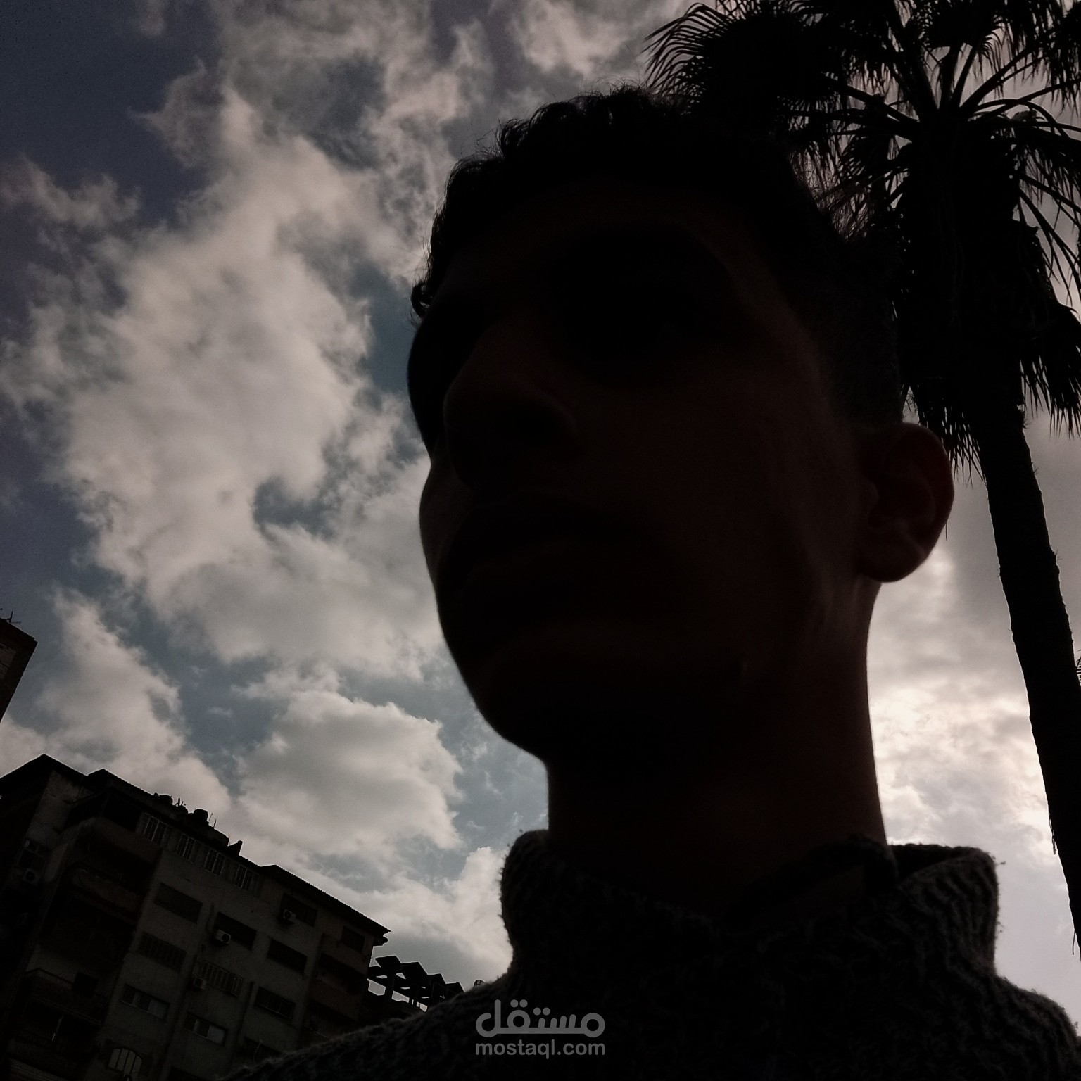 تصميم صور مصغرة