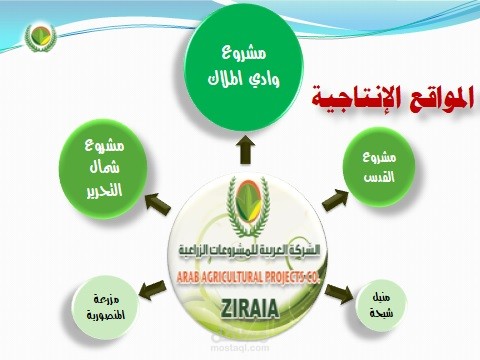 الشركة العربية للمشروعات الزراعية