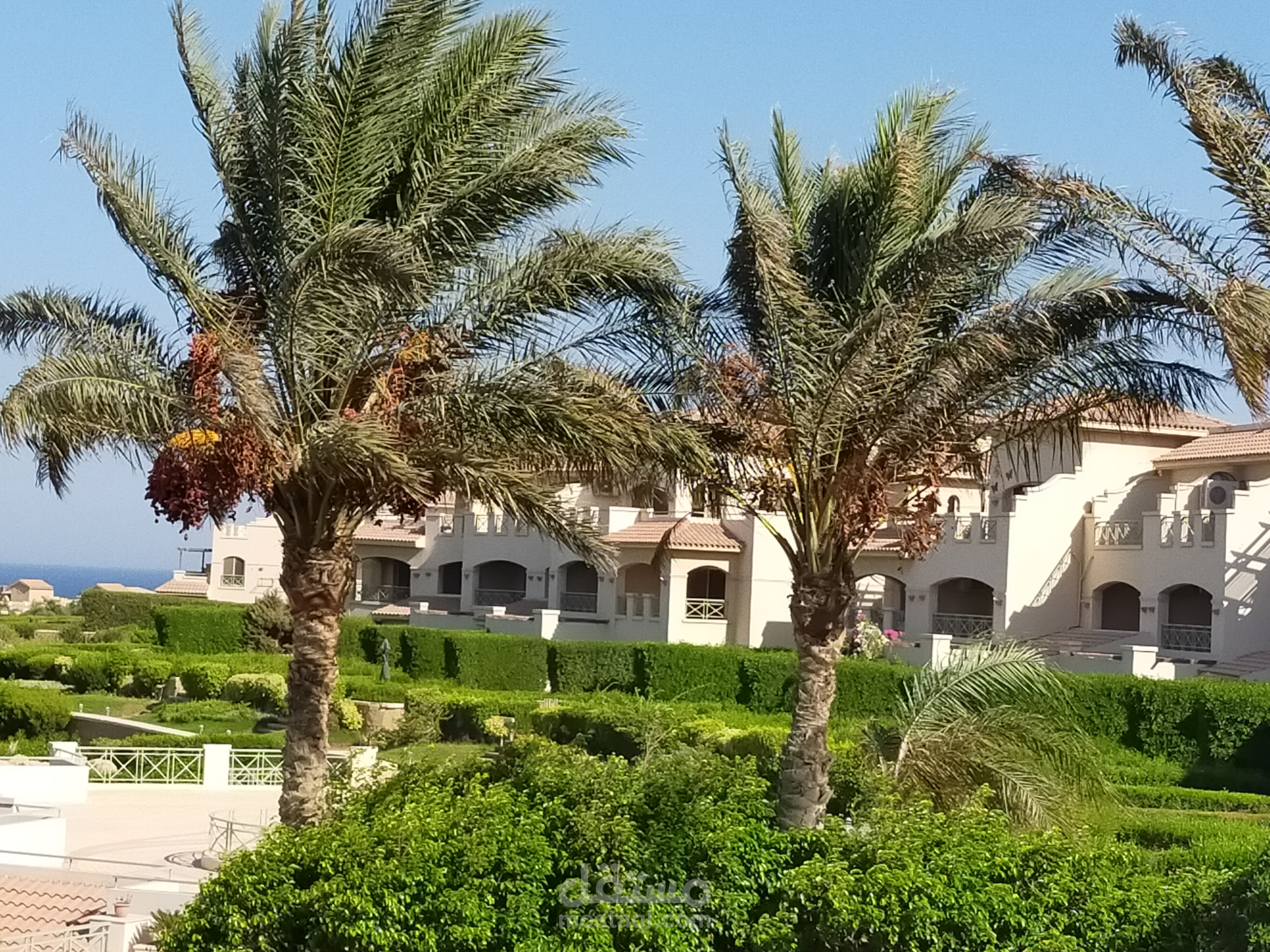 شرح ماده الفقه في اكاديميه زاد