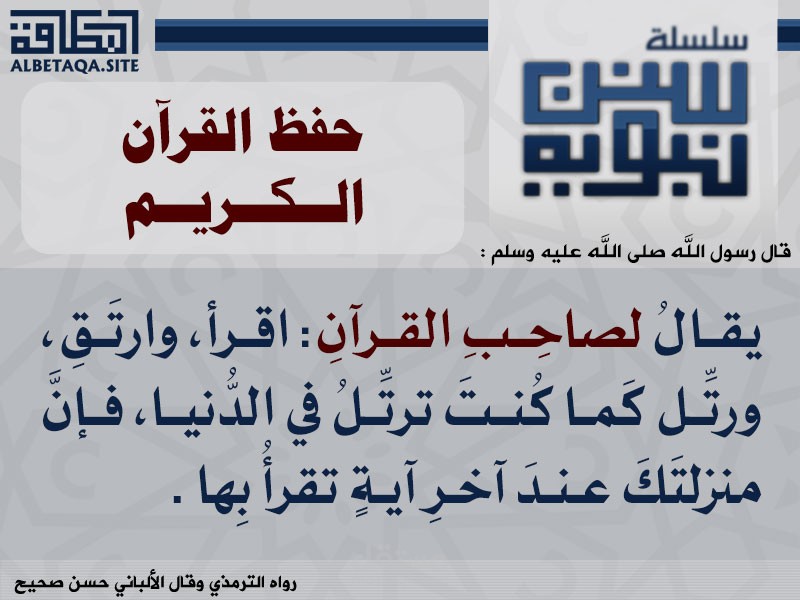 مدينه السادات محافظه المنوفيه