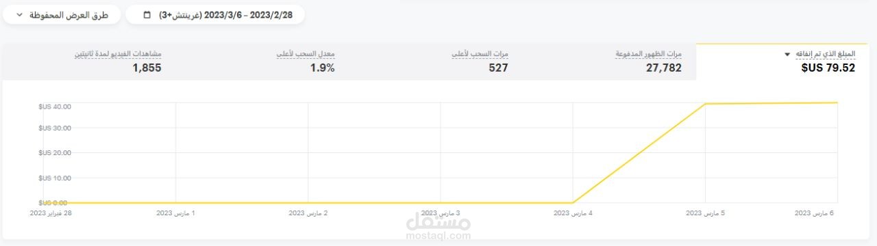 إدارة الحملات الإعلانية على المنصات