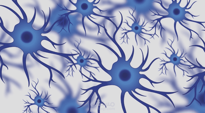 الخرائط الزهنية