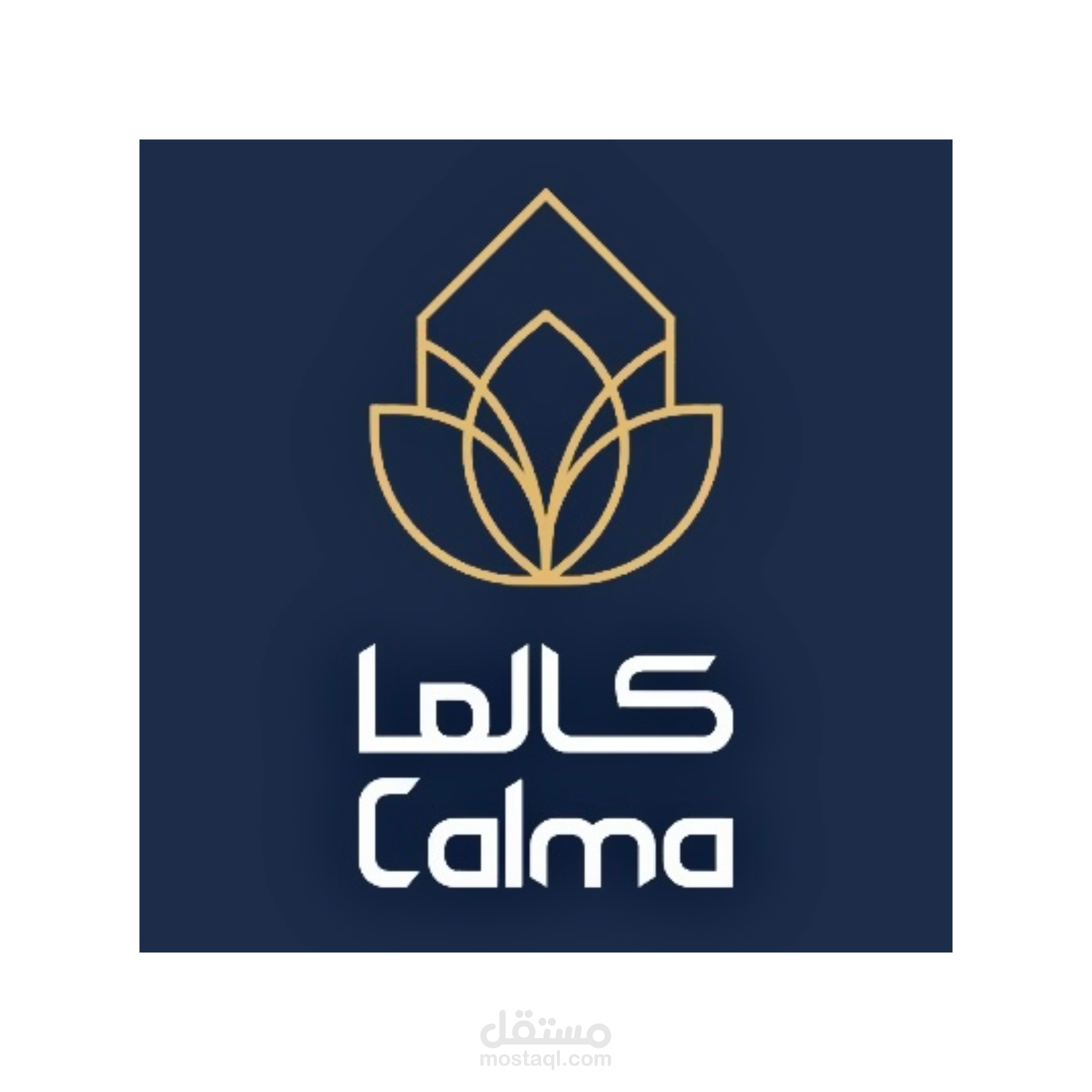 تعليق باللهجه العاميه لكالما