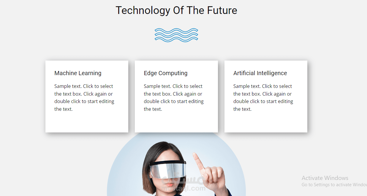 software company