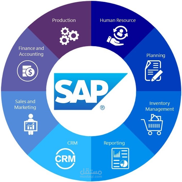 مقال وافي عن برنامج SAP المحاسبي