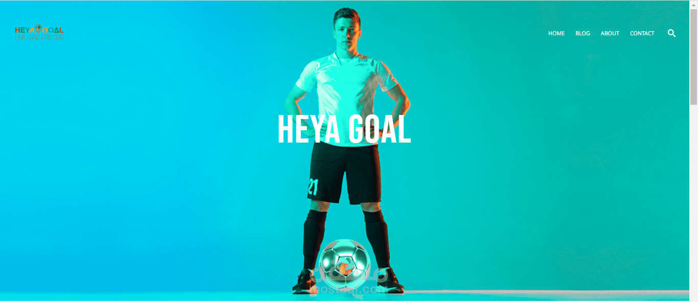 إنشاء مدونة wordpress محتوى رياضي