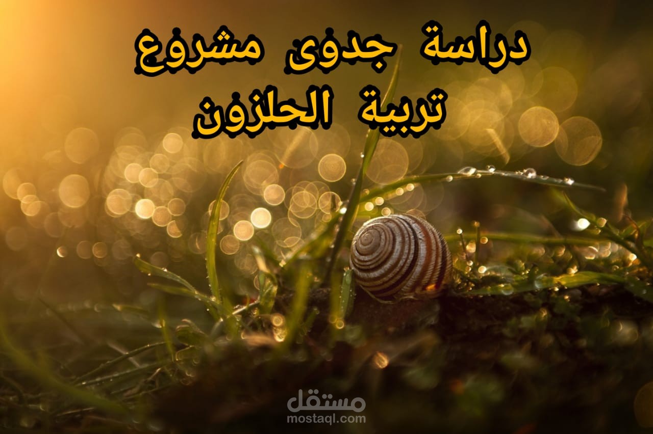 دراسة جدوى مشروع تربية الحلزون