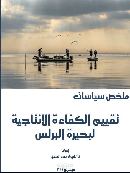 ملخص سياسات " الكفاءة الإنتاجية لبحيرة البرلس"