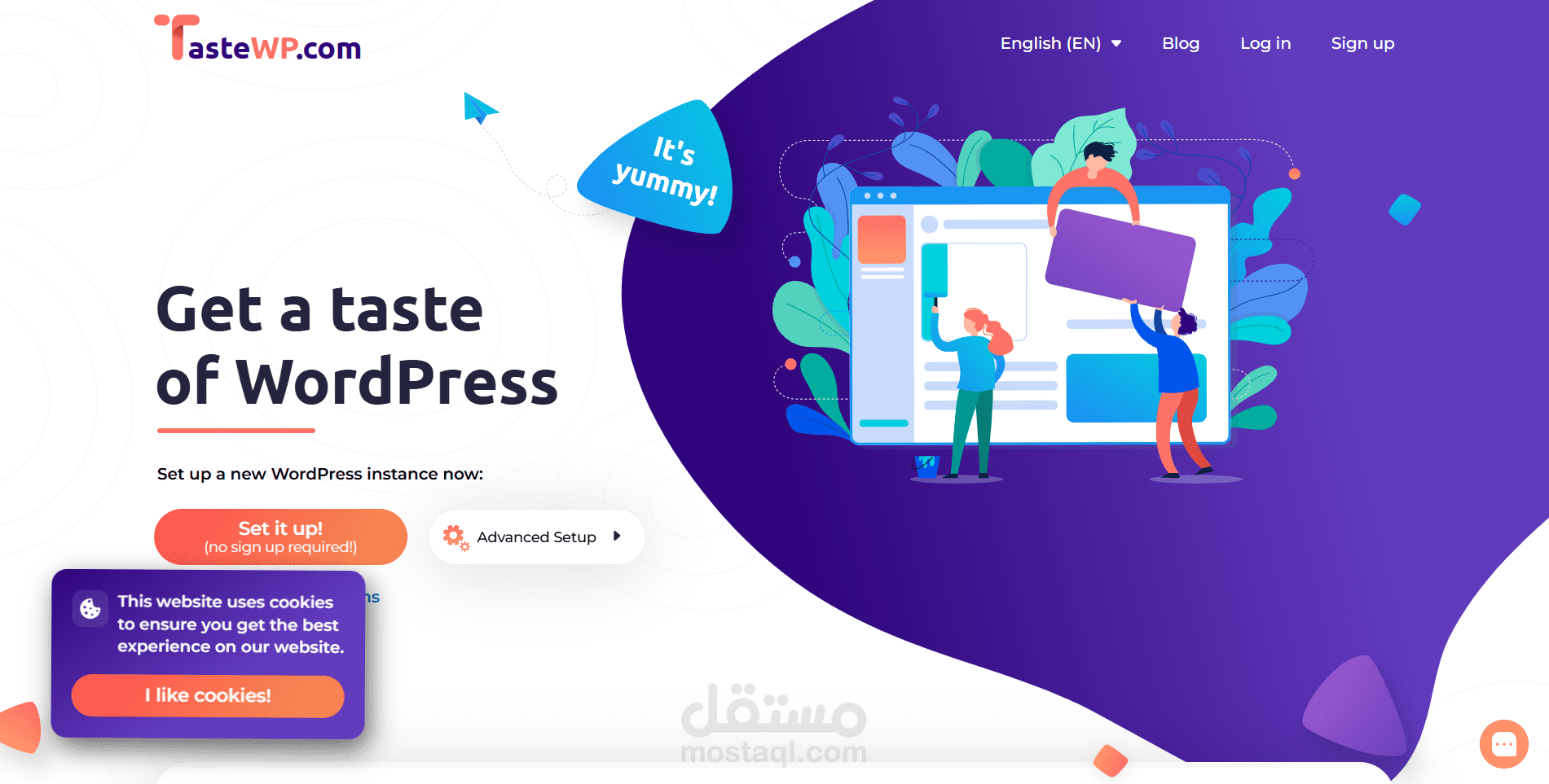 تطوير حلول الاستضافة المؤقتة وأدوات أتمتة WordPress في TasteWP
