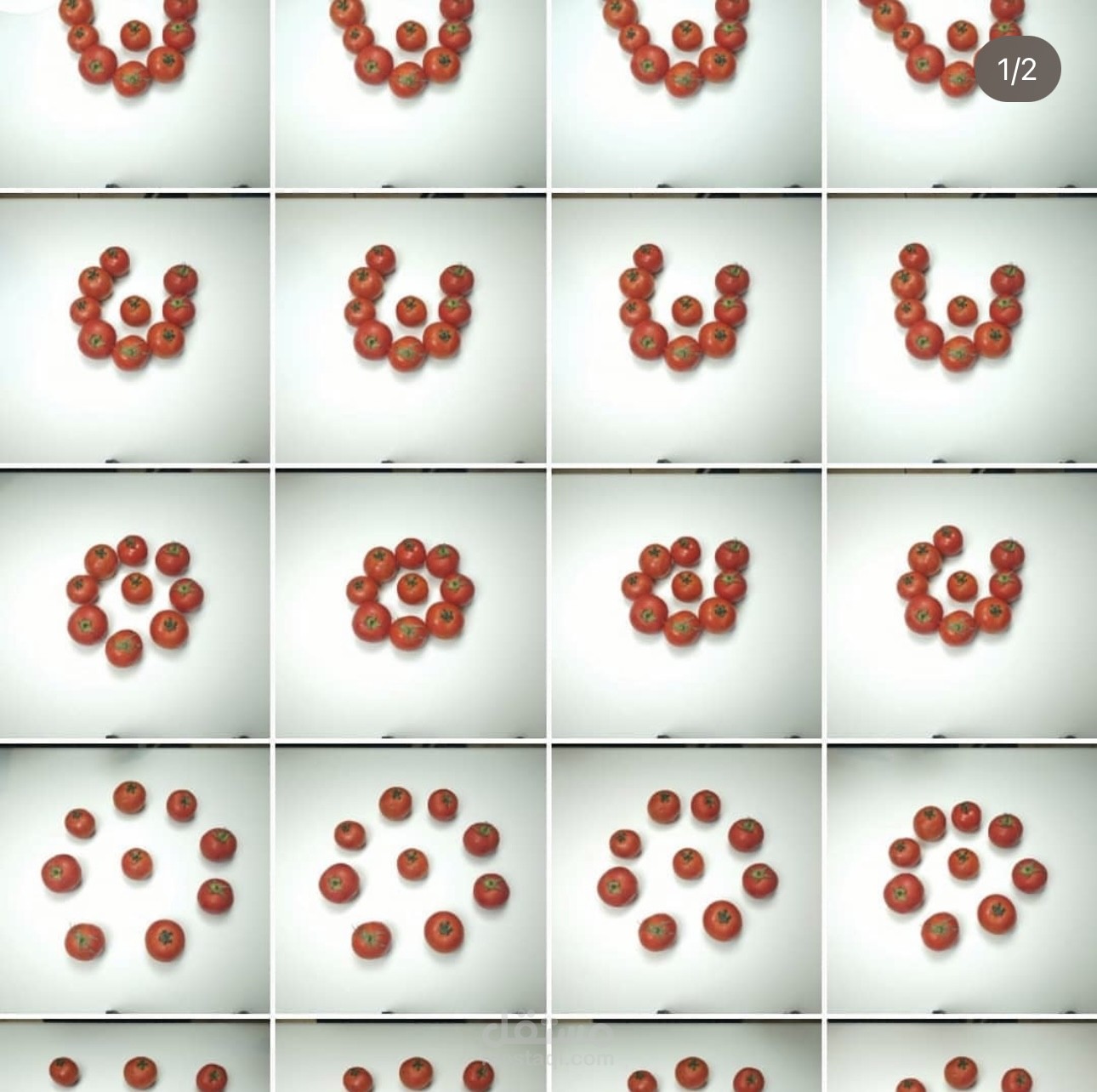 تصوير لمشروع stop motion