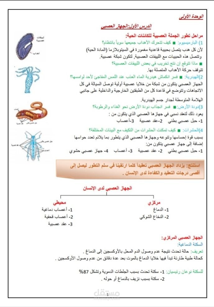 عيّنة من مذكّرة علوم