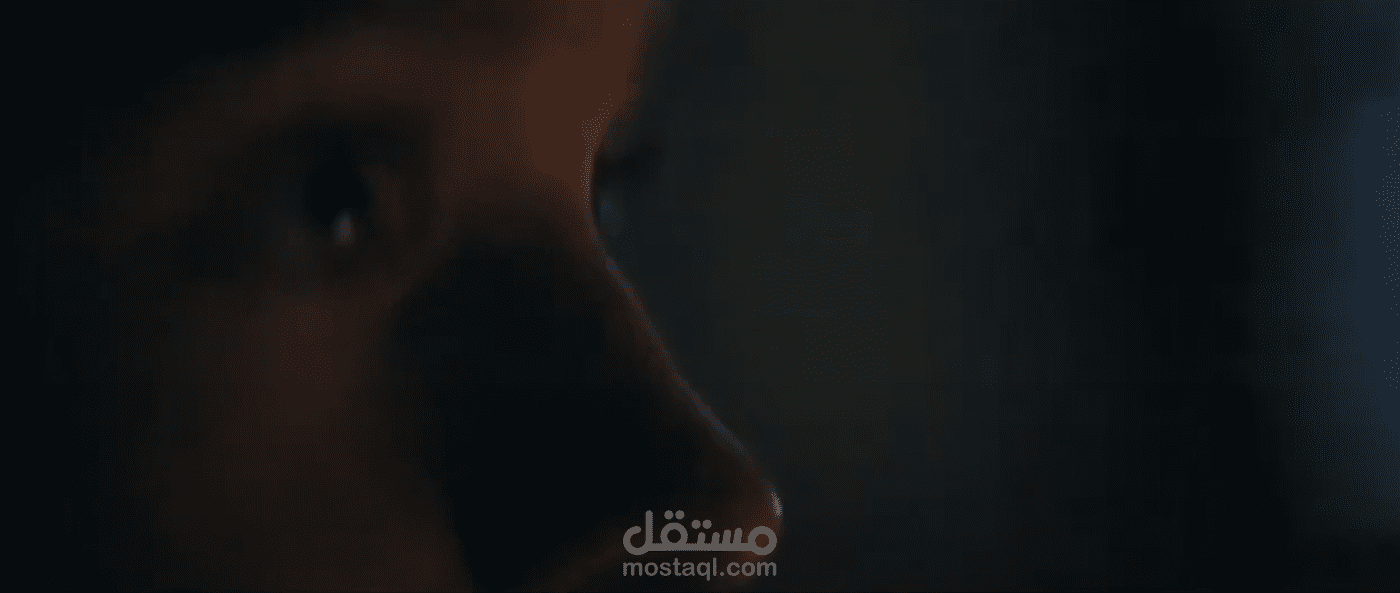 نبرات متعدده في التعليق الصوتي