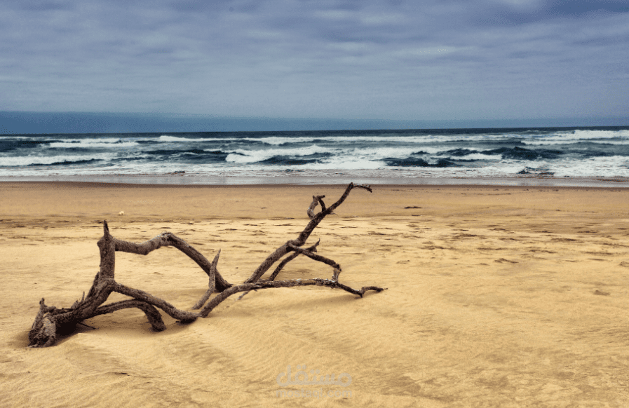 إزالة اي شيء من الصورة مثل الاشخاص , الحيوانات , عوائق بكل احترافية ودقة