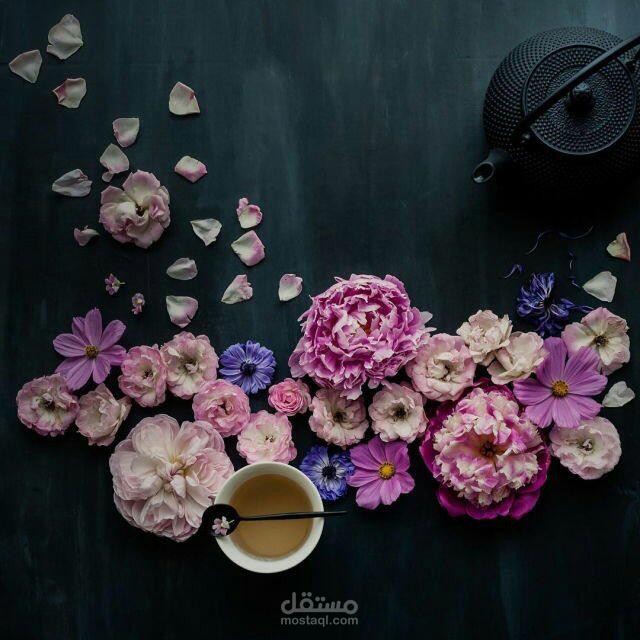 مونتاج الفيديو