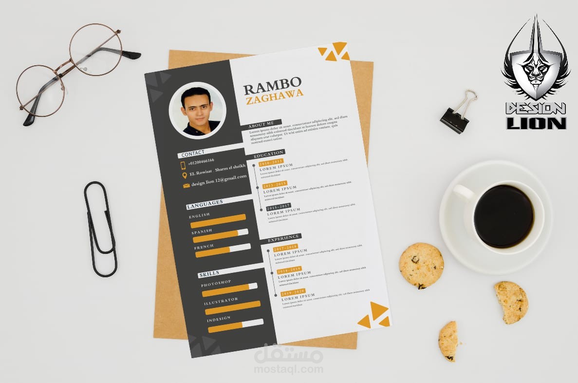 تصميم سي في احترافي