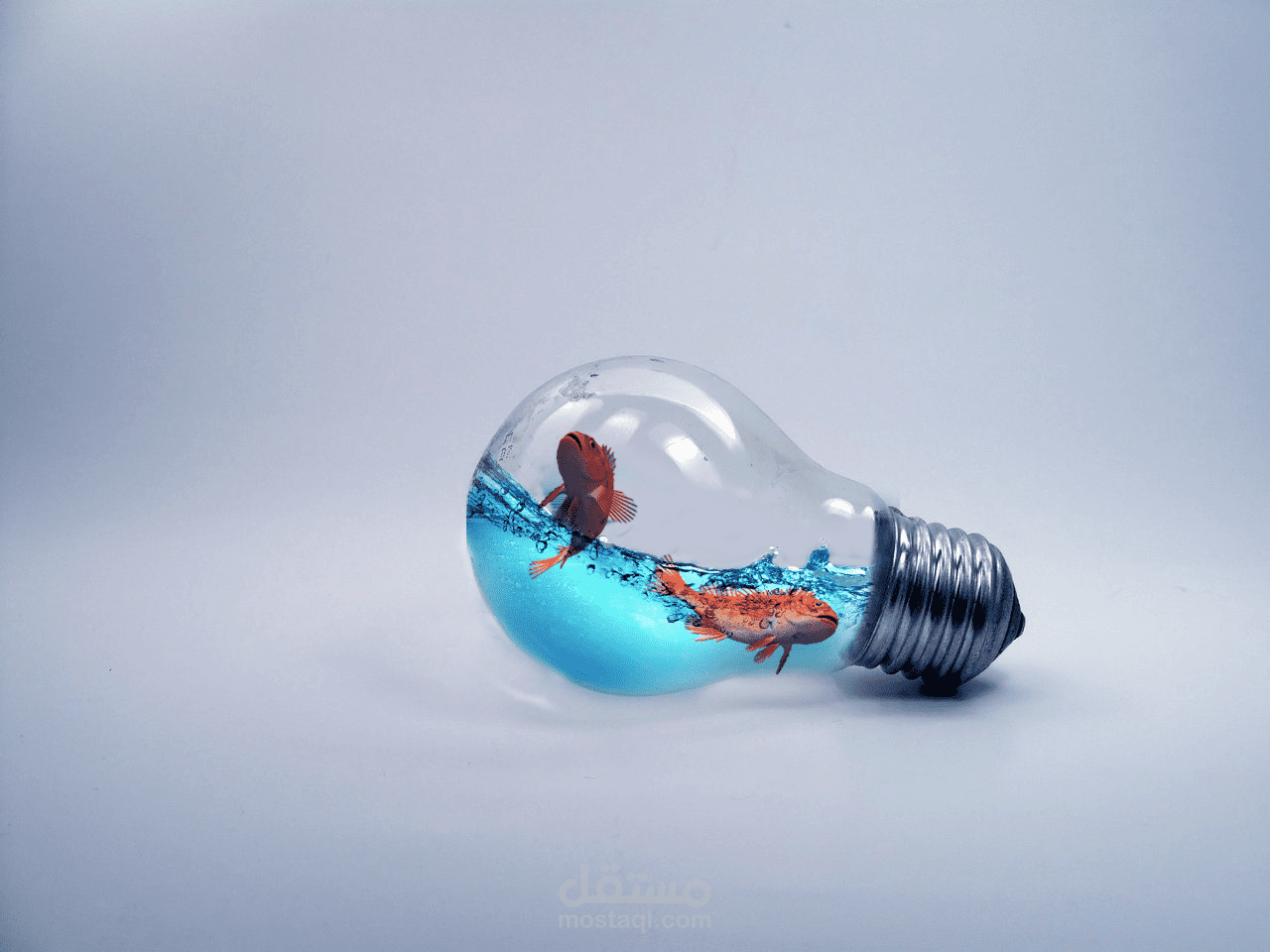 فوتوشوب