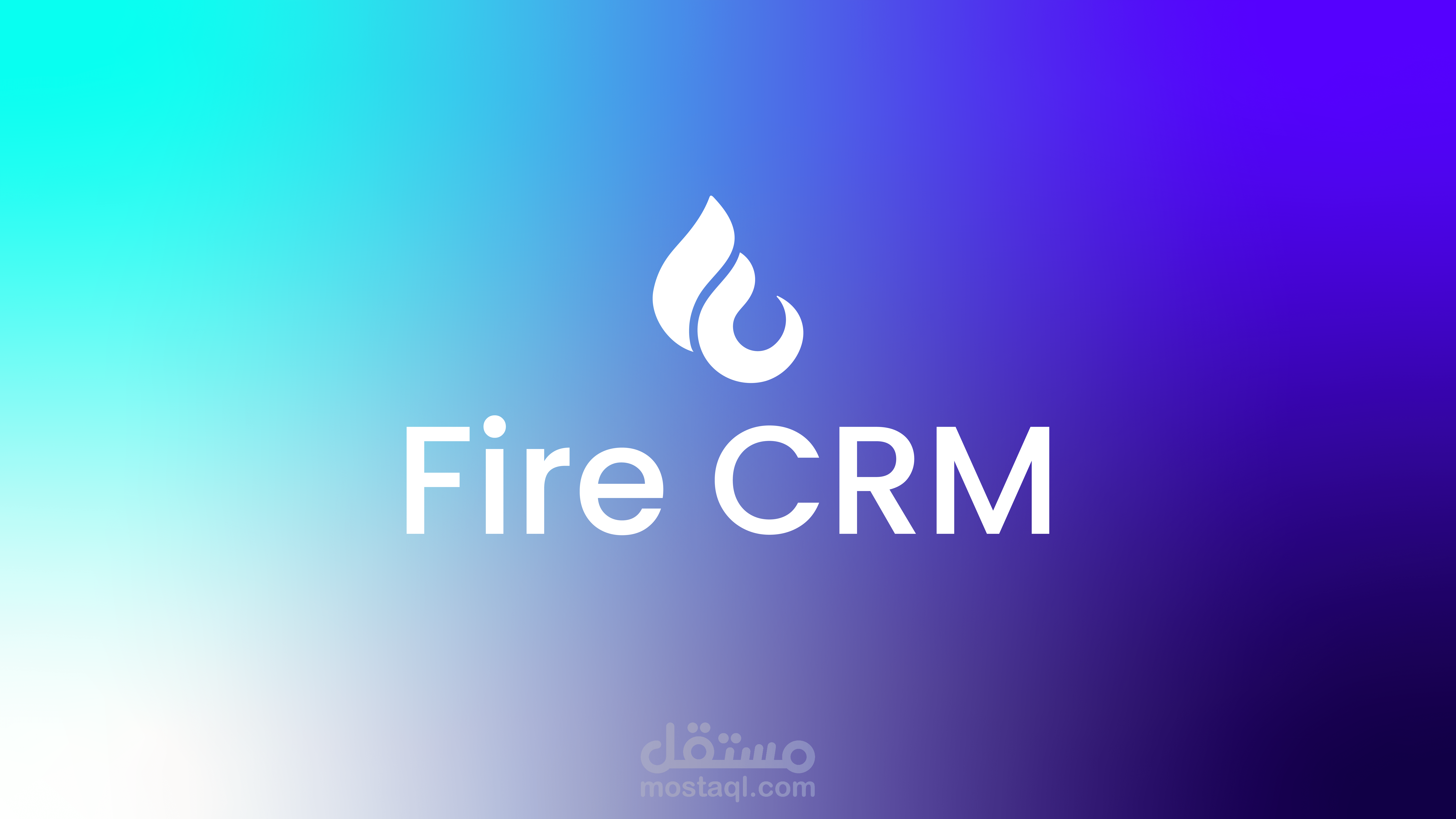 تصميم هوية بصرية احترافية لمنصة CRM | Fire CRM Brand Identity