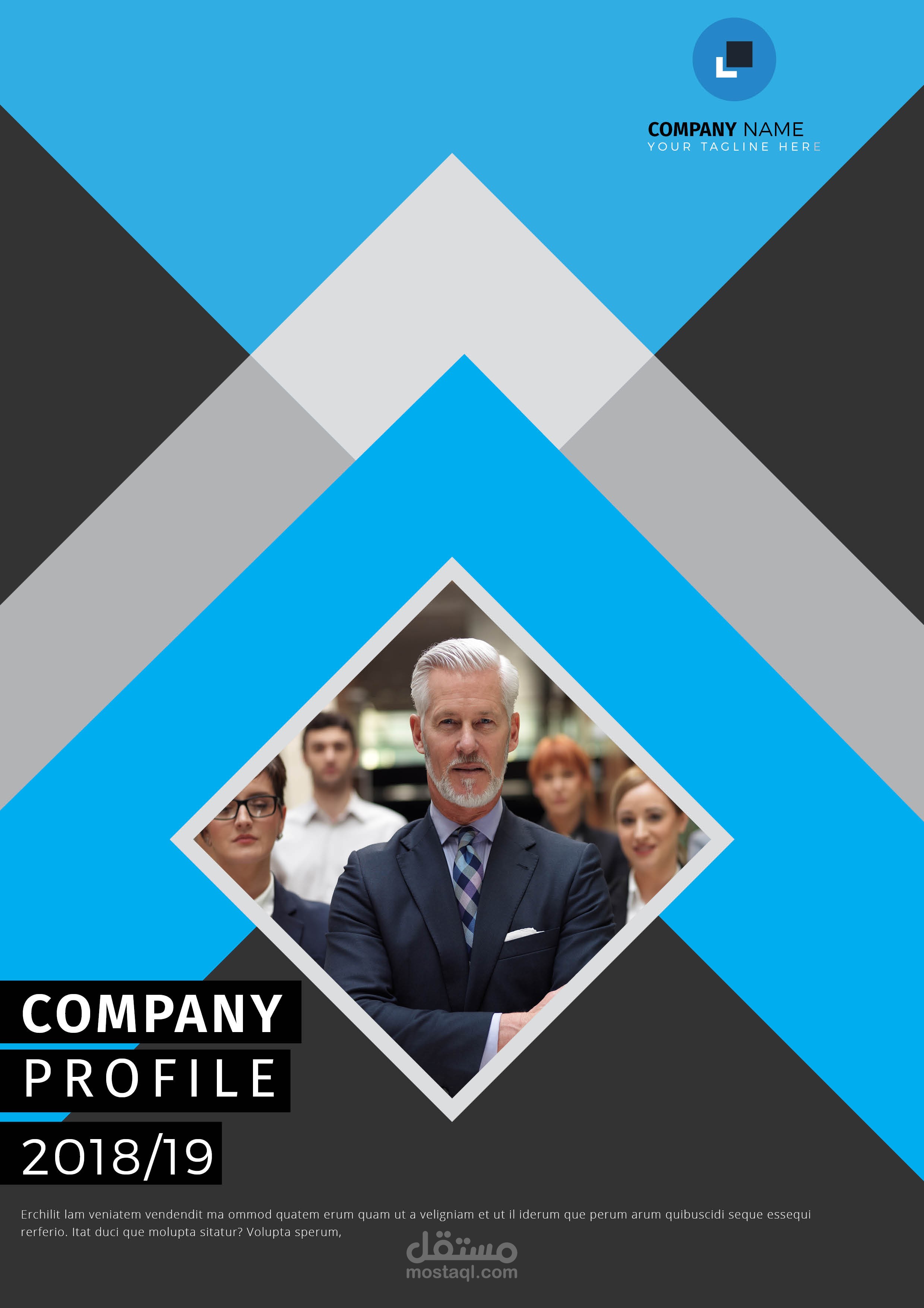 مثال رقم 2 لبروفايل شركة