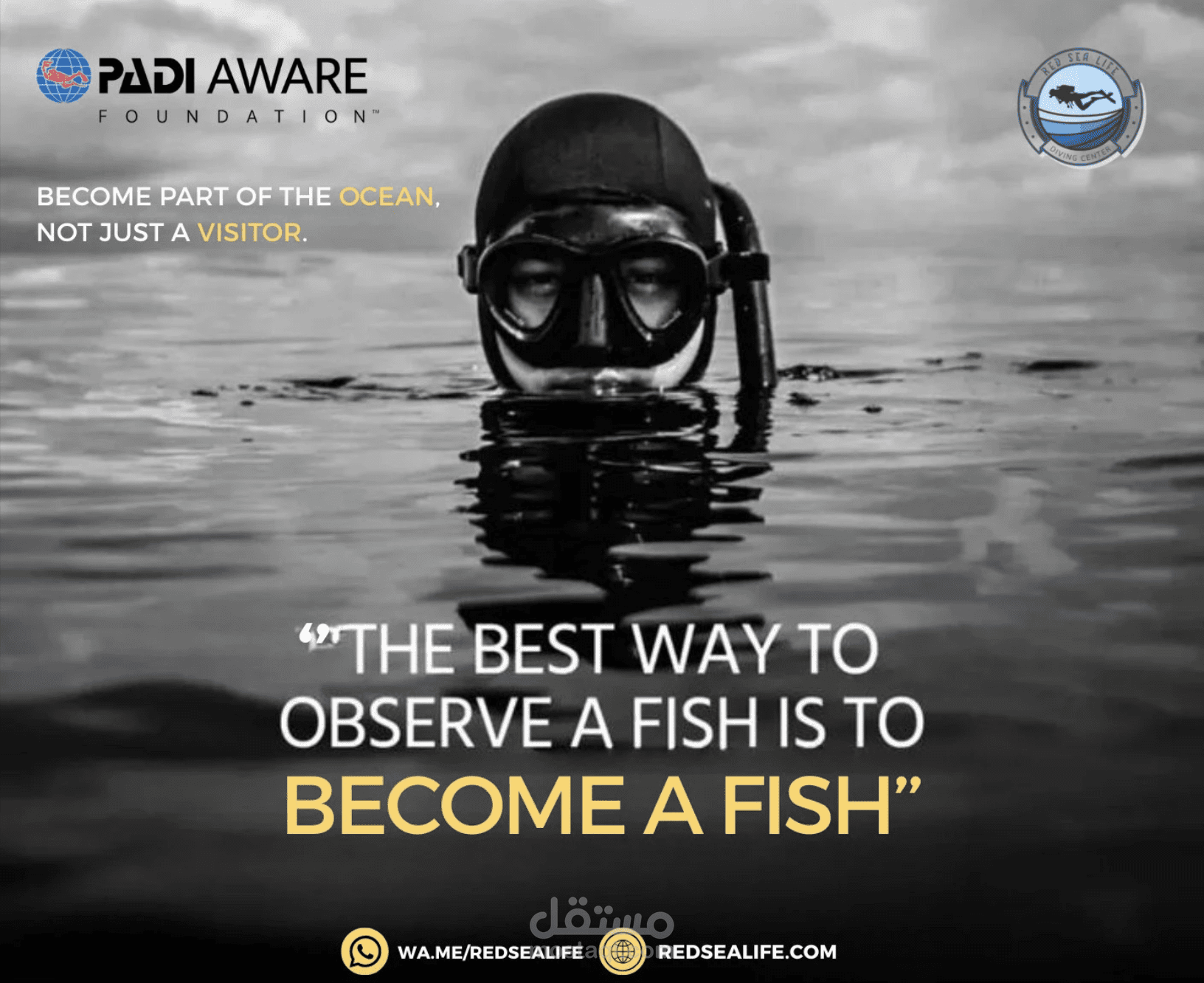 تصميمات ل PADI Aware - Diving Foundation