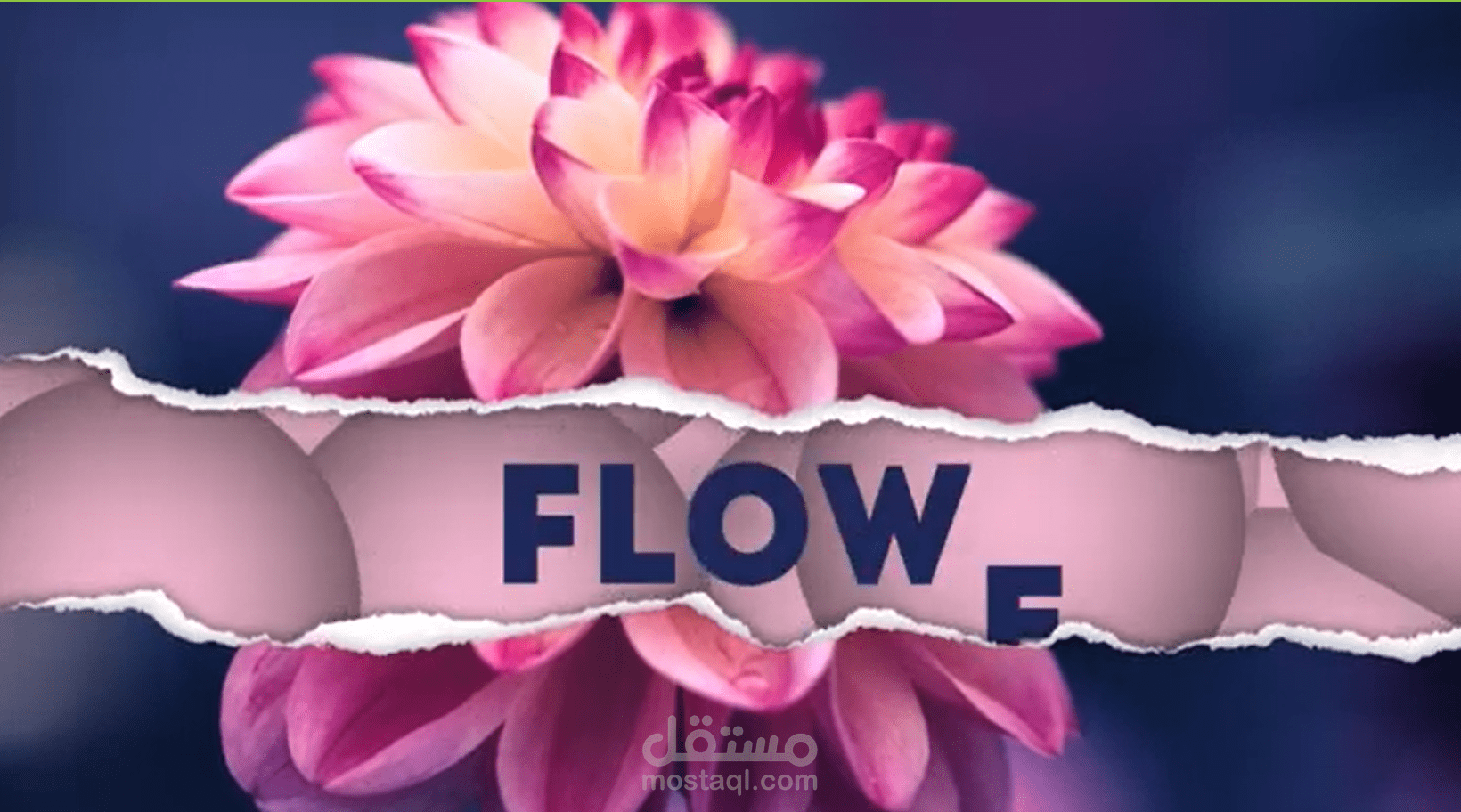 paper rip - تقطيع الورقة