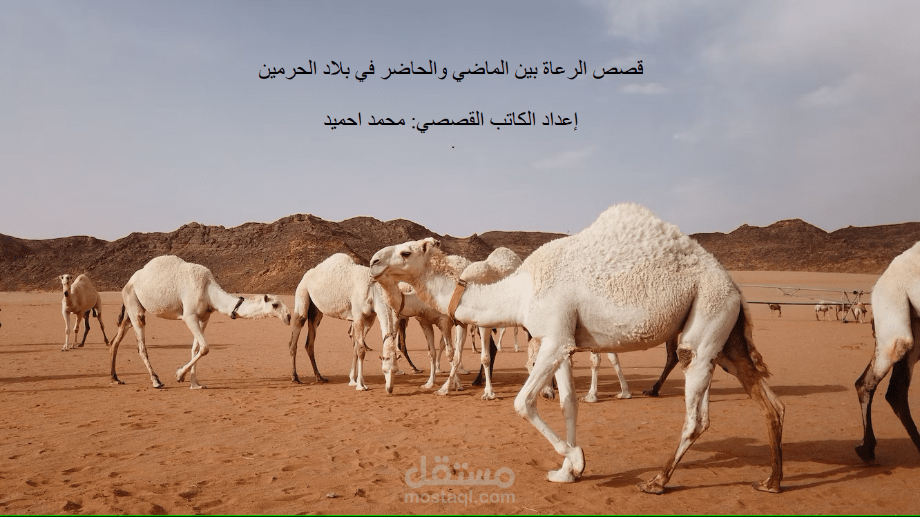 كاتبة محتوى تسويقي وفكرة ابداعية لعمل فيديو تحفيزي إرشادي