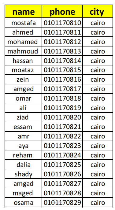 ادخال وتنظيم بيانات باستخدام excel