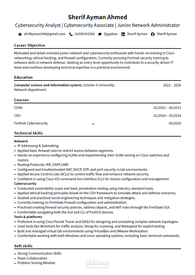 إنشاء سيرة ذاتية احترافية تبرز مهاراتك وتجذب أصحاب العمل
