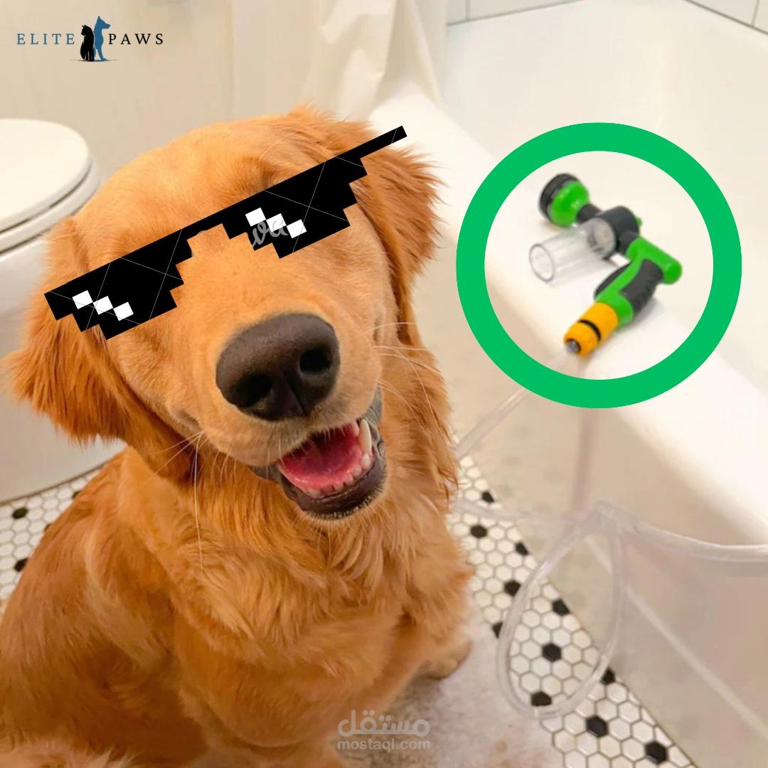 فيديو اعلاني لمتجر حيوانات اليفة|| مونتاج فيديو