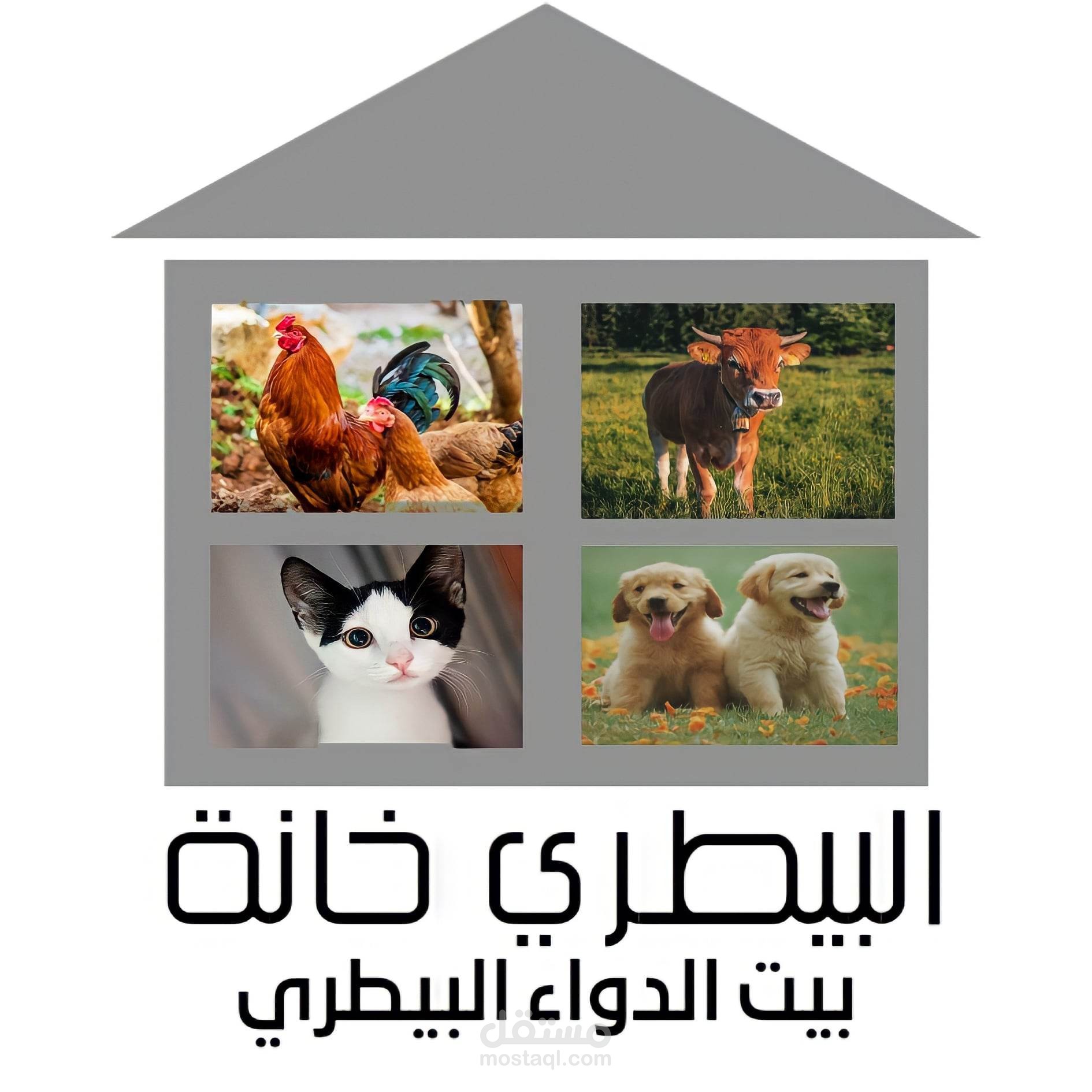 تصميم بعض الإعلانات لبعض العملاء