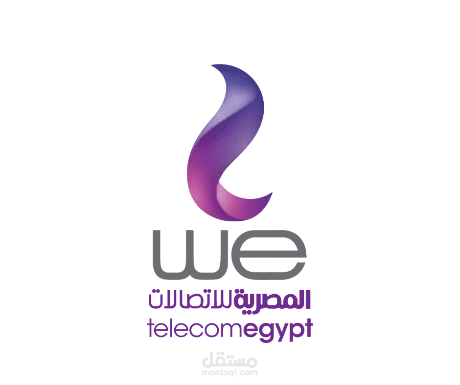 report about telecom egypt company information system