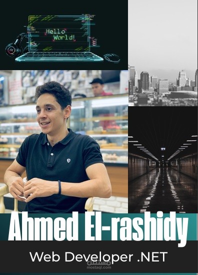 professional portfolio