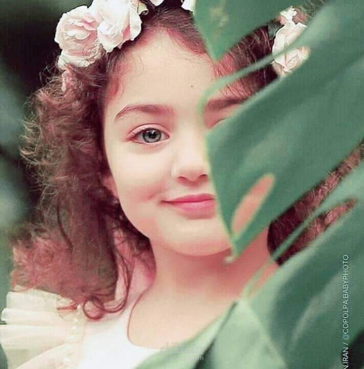 اسكريبت