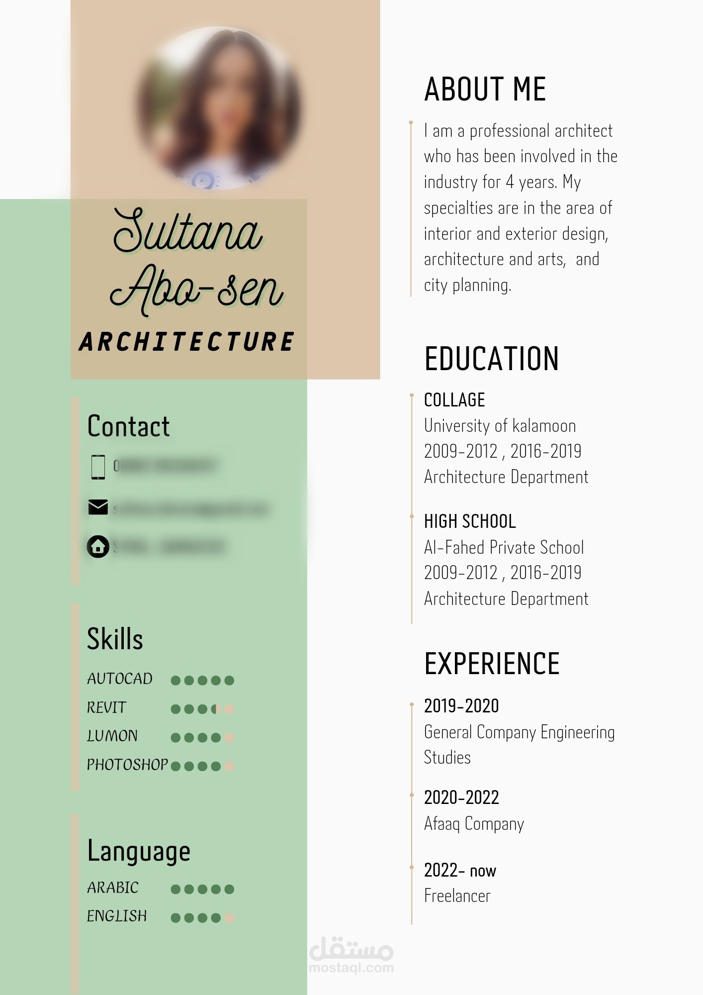 سيرة ذاتية احترافية