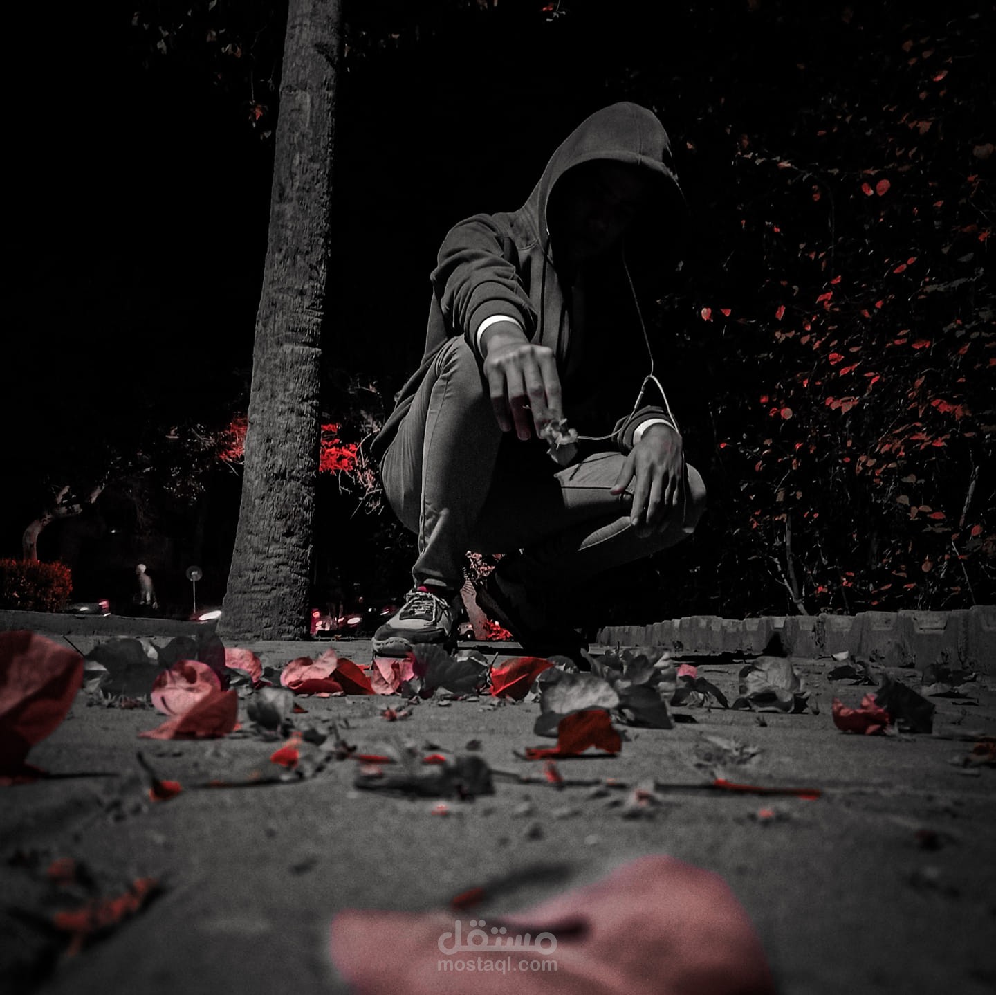 التعديل علي الصور والفيديوهات
