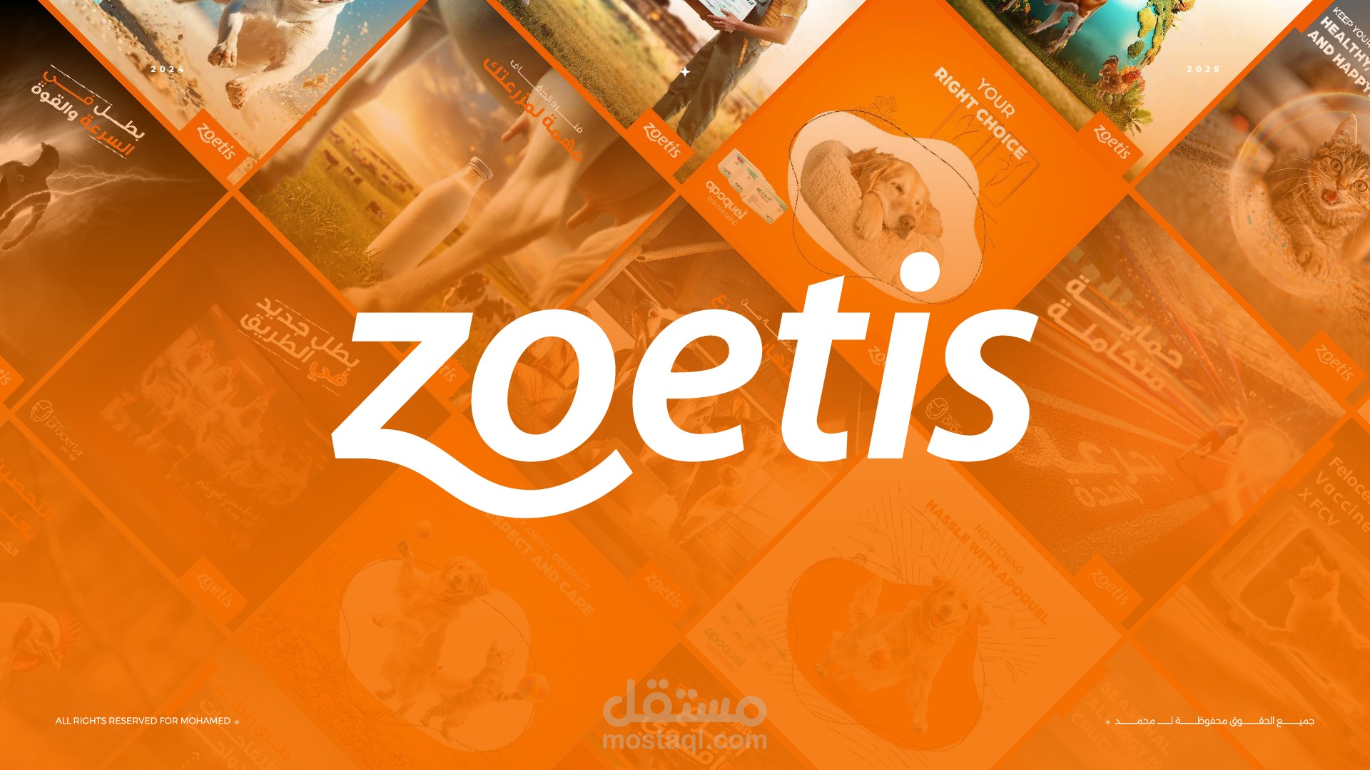 تصاميم إبداعية لشركة Zoetis العالمية