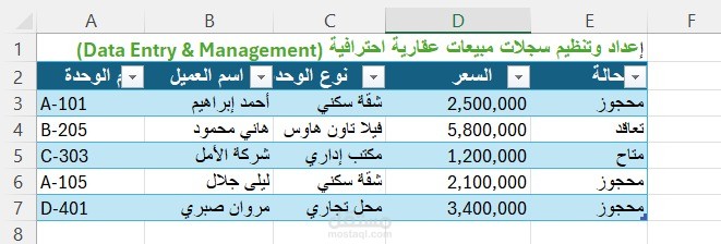 إعداد وتنظيم سجلات مبيعات عقارية احترافية (Data Entry & Management)